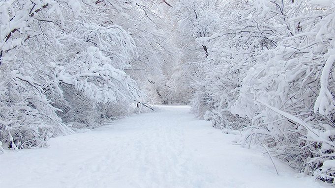 An empty snowy road