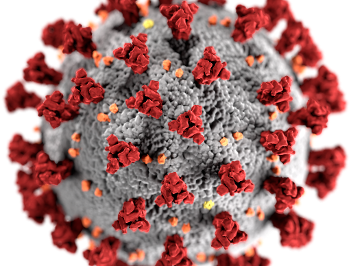 COVID-19 Virus